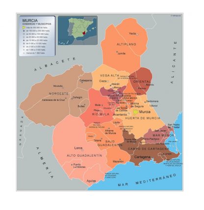 Mapa Murcia por municipios